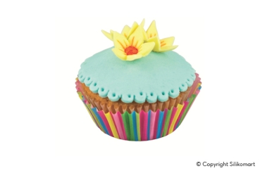 Cutter and Mould - Mini Star Flower
